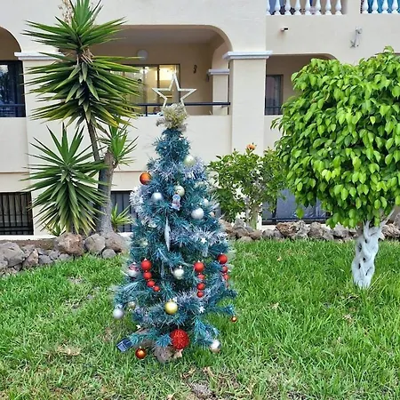 Modern In Castle Harbour 公寓 *